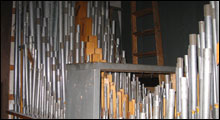 Organ